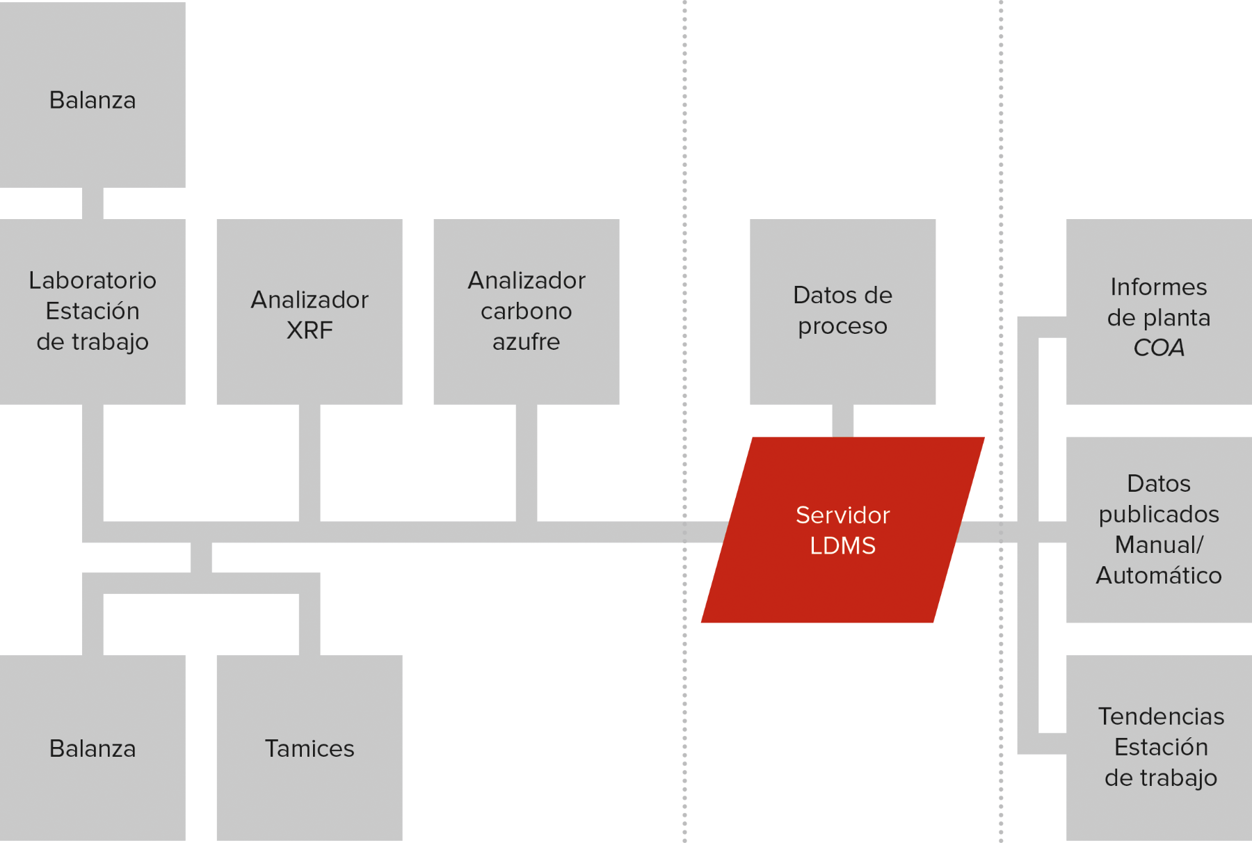 ldms diagram spanish